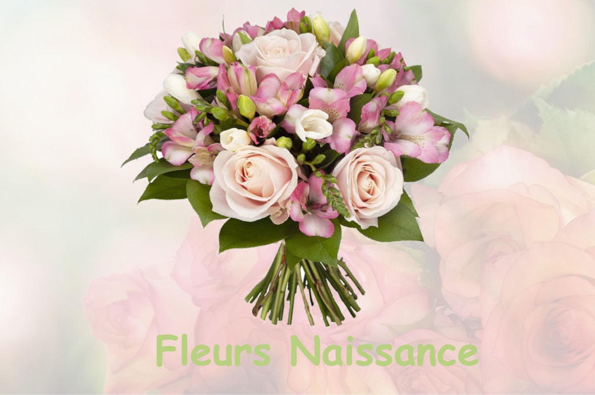 fleurs naissance OEYRELUY