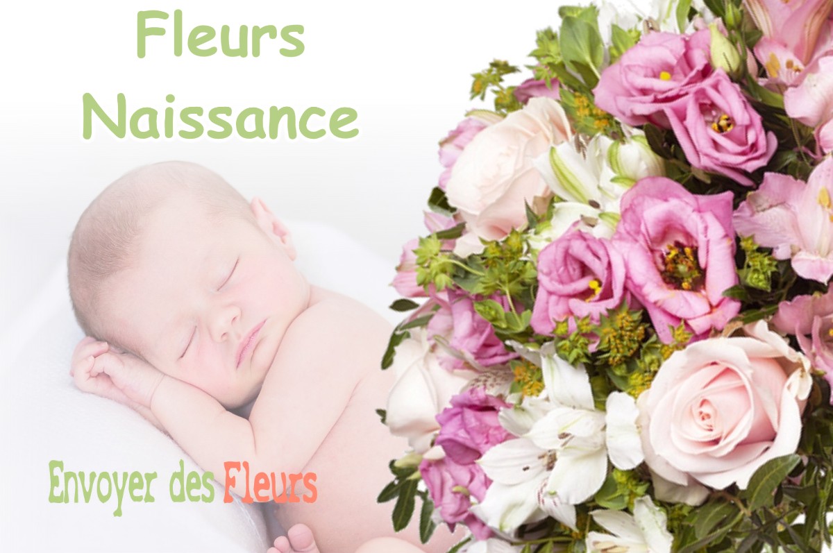 lIVRAISON FLEURS NAISSANCE à OEYRELUY